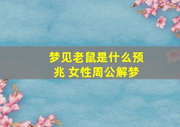 梦见老鼠是什么预兆 女性周公解梦